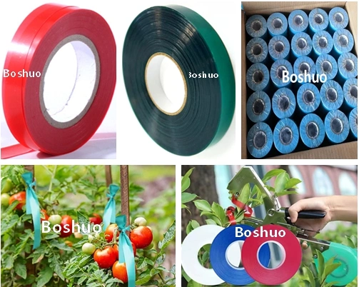 Chine Horticulture Plastique PVC PE Robuste Étanche Jardin Tapetool Plante 4 6 8 12 Mil Vert Cravate Ruban pour Raisins Tomates Poivrons Concombres Haricots Fixation